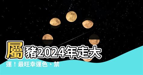 豬年幸運顏色|【豬幸運色】屬豬者2024「大吉幸運色」大公開！增強運勢、趨。